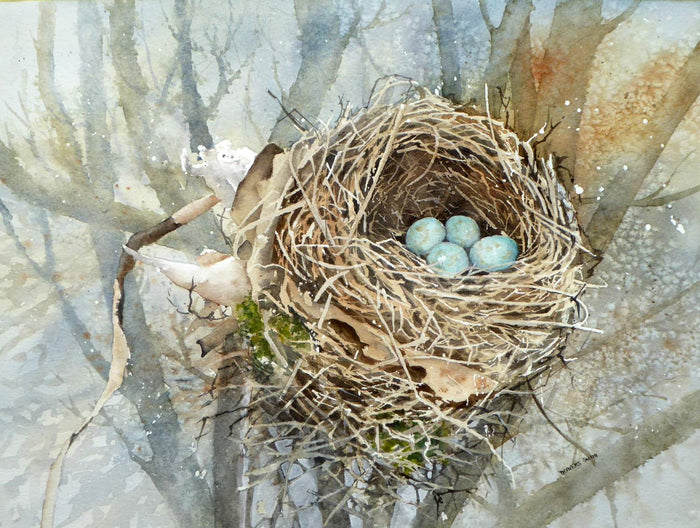 Blackbird's Nest - watercolour by Linda Travers Smith