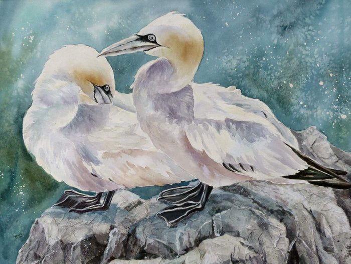 Blue Footed Booby - watercolour by Linda Travers Smith