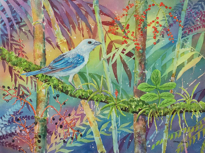 Blue Grey Tanager at Cocovado - watercolour by Linda Travers Smith