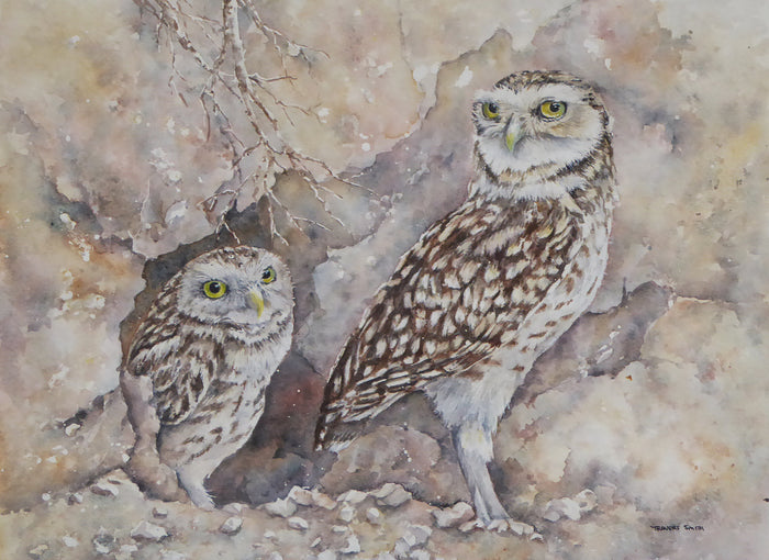 Burrowing Owls - watercolour by Linda Travers Smith