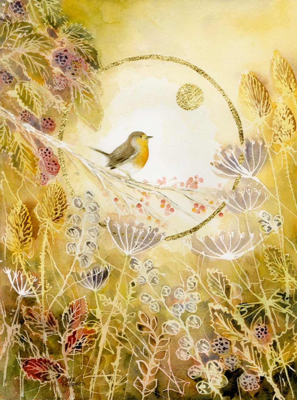 Robin in the Seedheads - original watercolour painting by Clare Tebboth