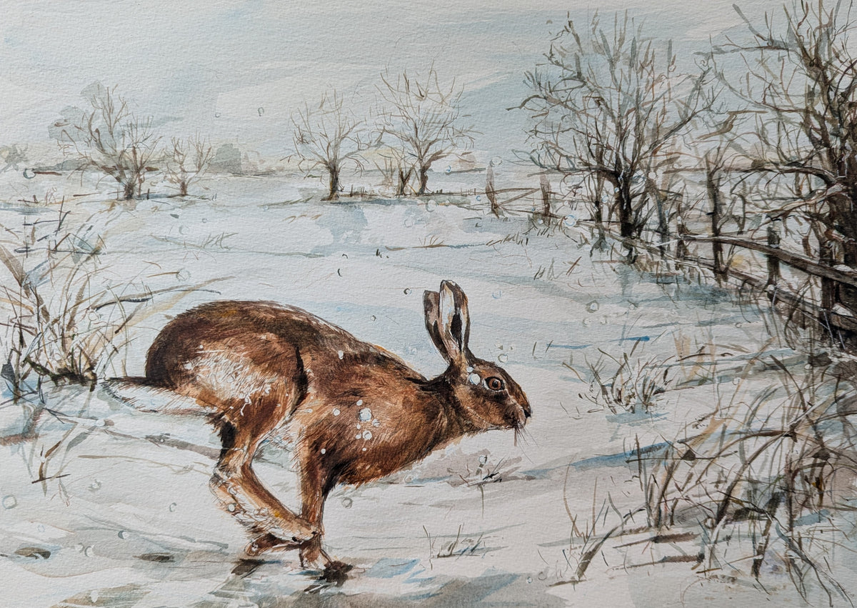 Hare in Snow by Carmen Carreira