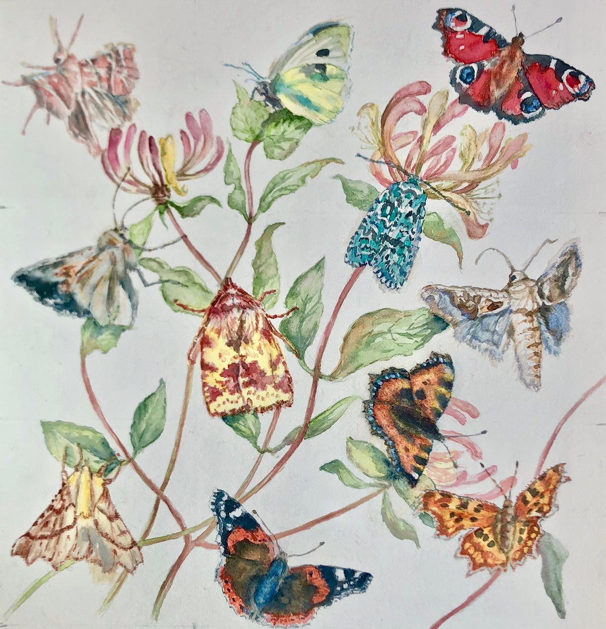 'Autumn Moths and Butterflies' - by Sally Leggatt