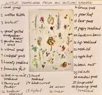 'Little Treasures From An Autumn Garden' - by Sally Leggatt