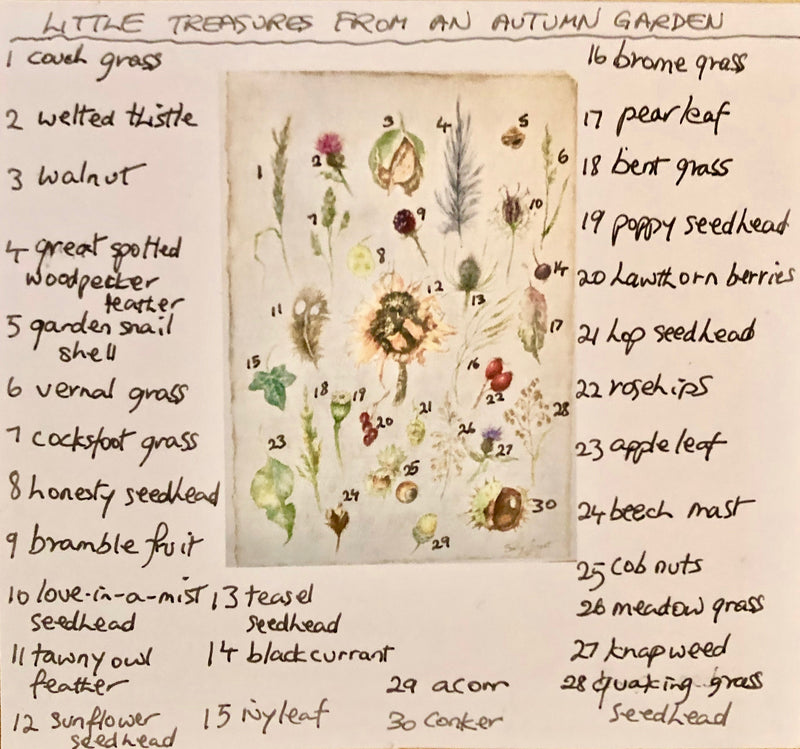 'Little Treasures From An Autumn Garden' - by Sally Leggatt