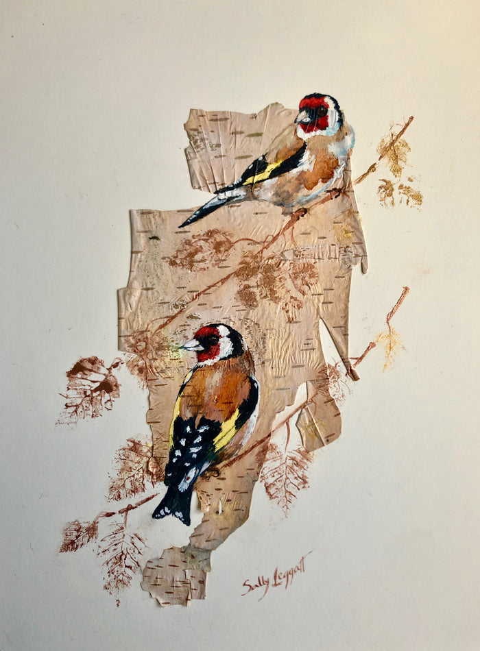 Goldfinch on silver birch bark - by Sally Leggatt