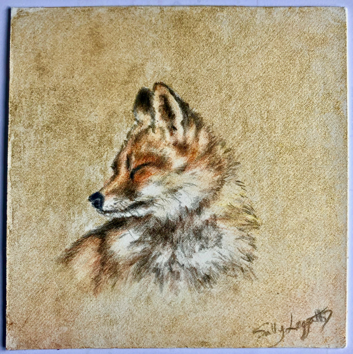 Fox on Gold - by Sally Leggatt 