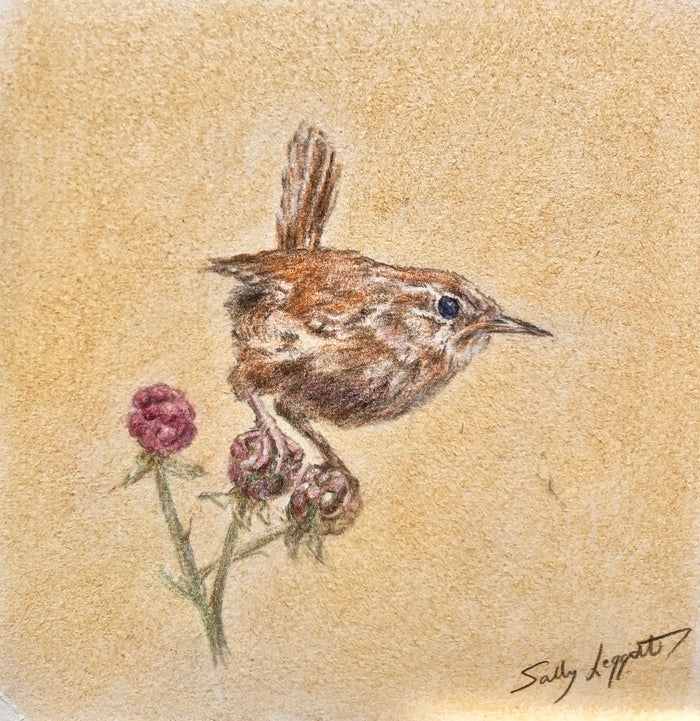 Wren on Gold - by Sally Leggatt