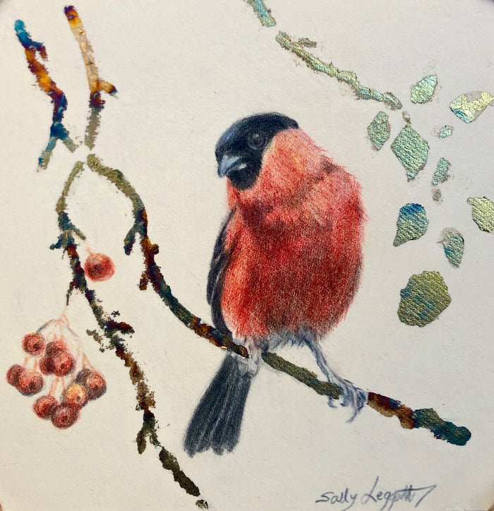 Bullfinch - by Sally Leggatt