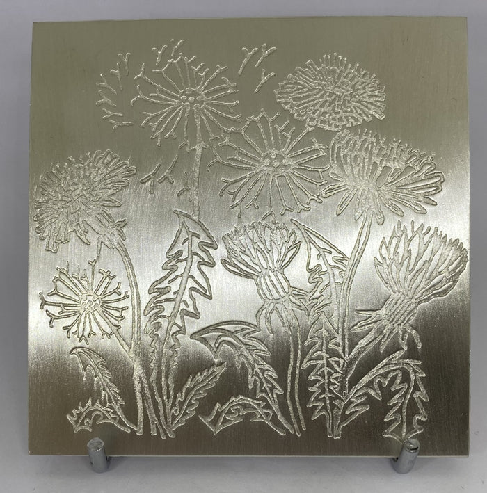 New Dandelion Embossed Pewter Coasters by Quirky Metals