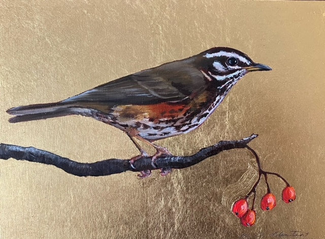 Redwing and Hawthorn by Becky Munting