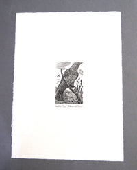 Wood Engraving by Edward Stamp