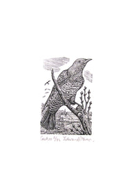 Wood Engraving by Edward Stamp