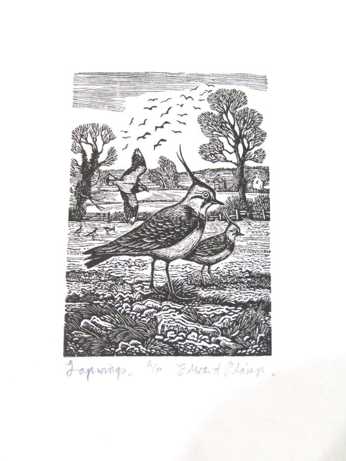 Wood Engraving by Edward Stamp