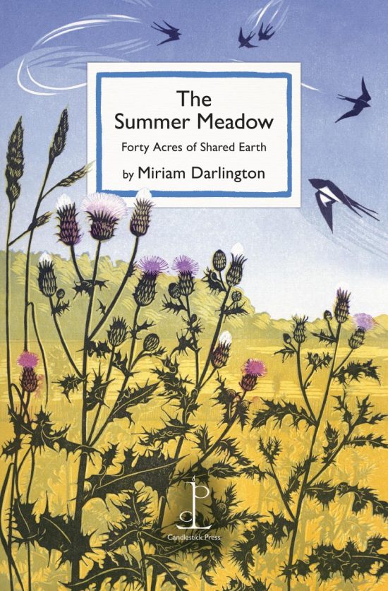 Ten Poems about Summer Meadows - Poetry Pamphlet