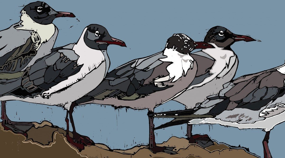 A Colony Of Gulls - Linocut By Jenni Cator – Obsidian Art