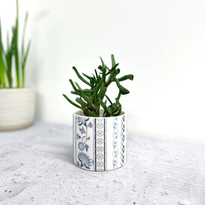 Jasmine Porcelain Tealight/Planter Pot by Alex Allday