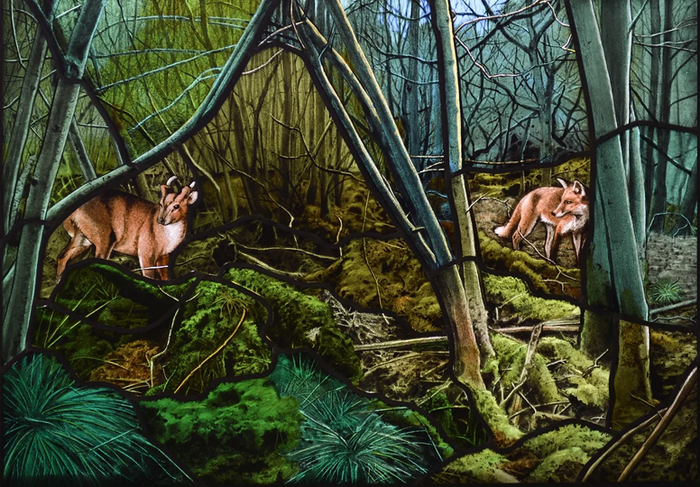 Fox and Deer - hand painted and leaded stained-glass panel by Petri Anderson