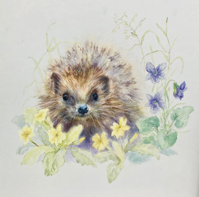 Mr Prickles - Hedgehog Watercolour Painting by Sally Leggatt