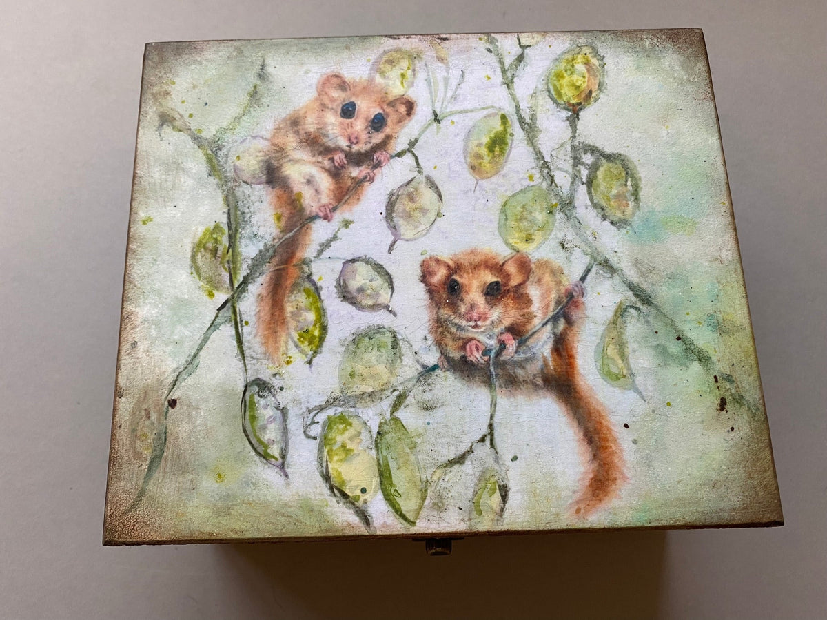 4 Compartment Tea / Jewellery / Trinket Box by Monika Maksym featuring Artwork by Sally Leggatt (MM87)