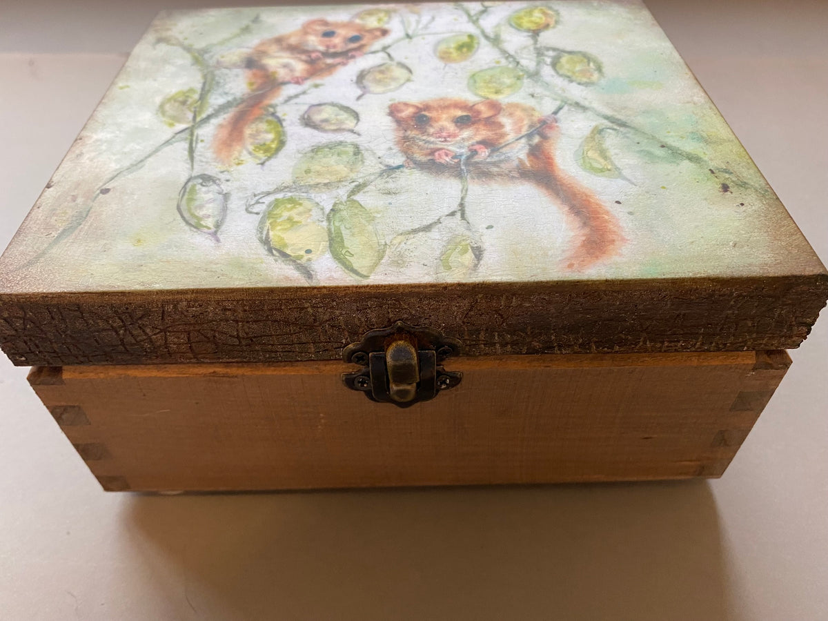 4 Compartment Tea / Jewellery / Trinket Box by Monika Maksym featuring Artwork by Sally Leggatt (MM87)