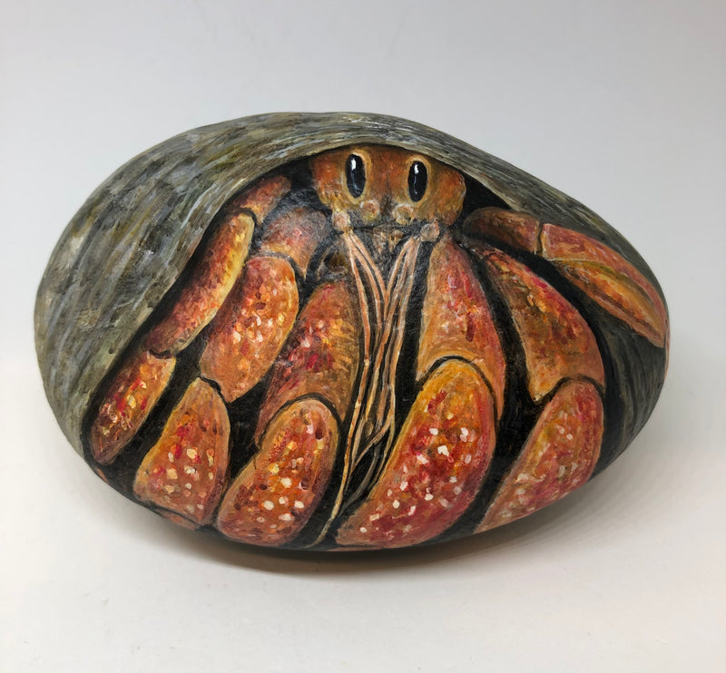 Hermit Crab - handpainted pebble by Rosemary Timney