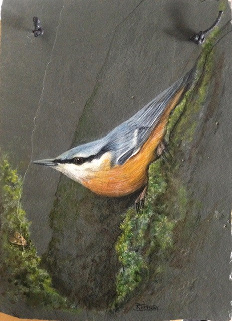 Nuthatch with Moth - Painting on Slate