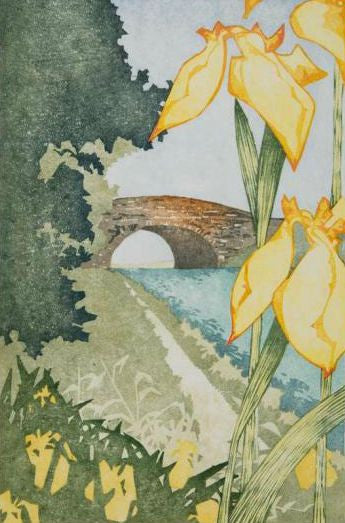 Twelve Views of Bucks: Yellow Iris,Grand Union Canal