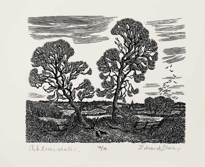 Ash Trees, Winter by Edward Stamp