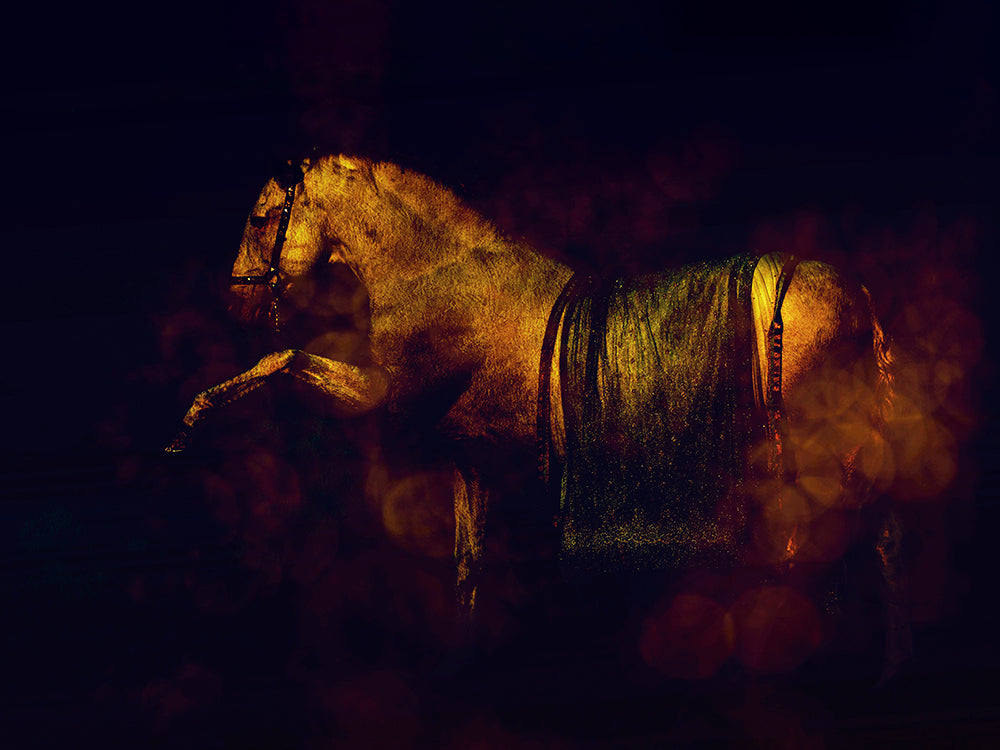 Golden Horse by EJ Lazenby – Obsidian Art
