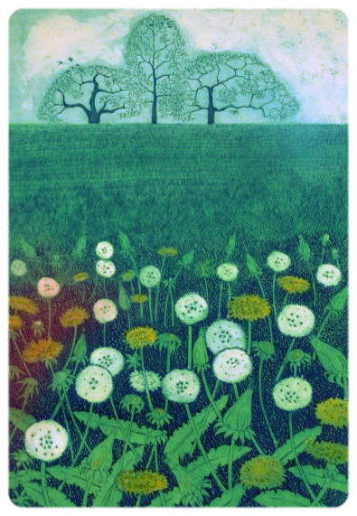 Across the Field by Diana Ashdown