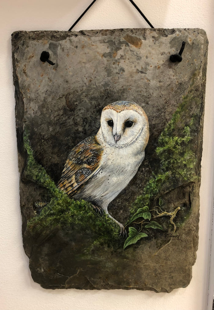 Barn Owl - handpainted slate by Rosemary Timney