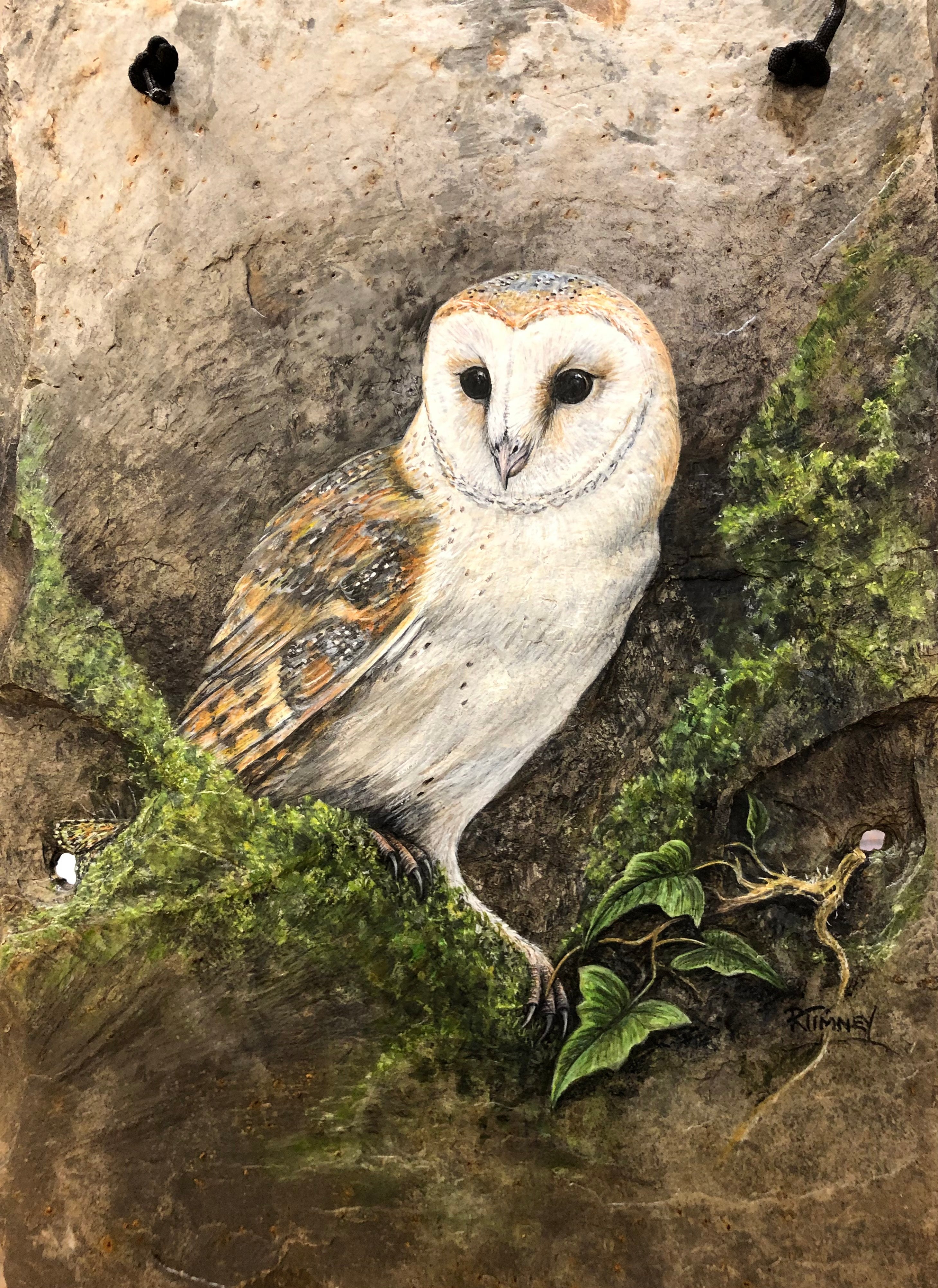 Owl painting deals