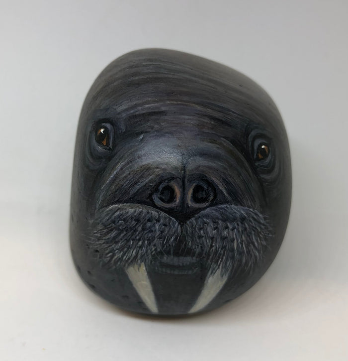 Walrus - handpainted pebble by Rosemary Timney